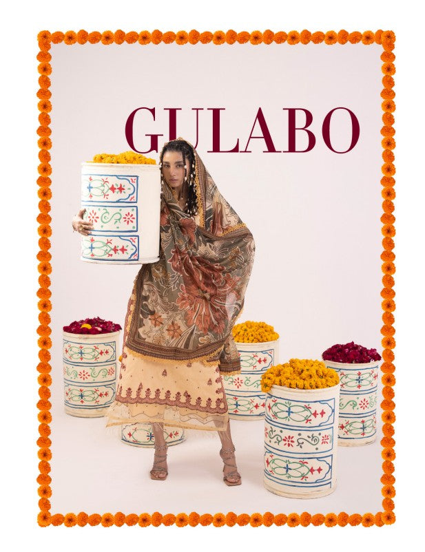 Pakistani Rangeeli unstitch Dress (GULABO)